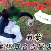 ヒメ日記 2026/10/01 19:32 投稿 秋葉（あきば） 熟女の風俗最終章 名古屋店