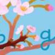 ヒメ日記 2025/03/24 18:04 投稿 さくら One More 奥様　錦糸町店