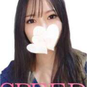 ヒメ日記 2025/04/07 12:10 投稿 そらね スピード日本橋店