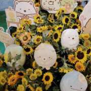 ヒメ日記 2025/08/10 14:17 投稿 そらね スピード日本橋店