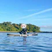 ヒメ日記 2025/07/19 20:22 投稿 なな the SPA KADOEBI