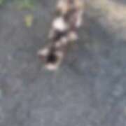 ヒメ日記 2025/07/27 12:42 投稿 なな the SPA KADOEBI