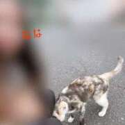 ヒメ日記 2025/08/18 12:33 投稿 なな the SPA KADOEBI