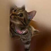 ヒメ日記 2025/08/26 17:42 投稿 なな the SPA KADOEBI