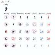 ヒメ日記 2025/08/28 07:02 投稿 なな the SPA KADOEBI