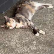 ヒメ日記 2025/08/28 18:22 投稿 なな the SPA KADOEBI