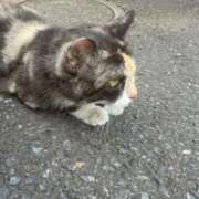 ヒメ日記 2025/09/12 08:12 投稿 なな the SPA KADOEBI