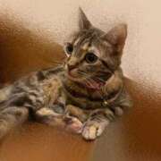 ヒメ日記 2025/09/29 08:12 投稿 なな the SPA KADOEBI