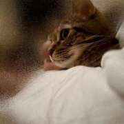 ヒメ日記 2025/10/01 06:42 投稿 なな the SPA KADOEBI