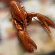 ヒメ日記 2025/10/18 12:22 投稿 なな the SPA KADOEBI