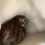 ヒメ日記 2025/10/20 08:42 投稿 なな the SPA KADOEBI