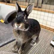 ヒメ日記 2025/10/28 08:23 投稿 なな the SPA KADOEBI