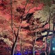 ヒメ日記 2025/11/26 07:52 投稿 なな the SPA KADOEBI