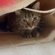 ヒメ日記 2025/12/09 10:22 投稿 なな the SPA KADOEBI