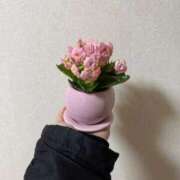 なな 会社から呼び出し〜 the SPA KADOEBI