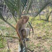 なな 首相選挙🇧🇩 the SPA KADOEBI