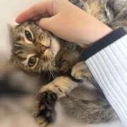 ヒメ日記 2026/03/19 12:22 投稿 なな the SPA KADOEBI