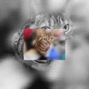 ヒメ日記 2026/03/24 19:12 投稿 なな the SPA KADOEBI