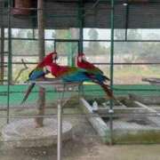 ヒメ日記 2026/03/27 08:02 投稿 なな the SPA KADOEBI