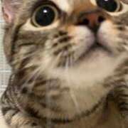 ヒメ日記 2026/03/30 12:34 投稿 なな the SPA KADOEBI