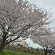 ヒメ日記 2026/04/06 07:32 投稿 なな the SPA KADOEBI