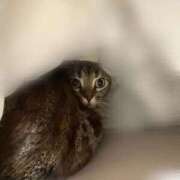 ヒメ日記 2026/04/15 16:32 投稿 なな the SPA KADOEBI