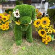 ヒメ日記 2026/07/09 19:14 投稿 なな the SPA KADOEBI