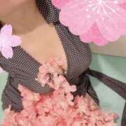 ヒメ日記 2025/10/10 17:39 投稿 ひかり 脱がされたい人妻 厚木店