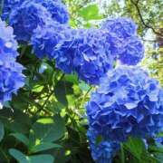 ヒメ日記 2025/06/03 14:33 投稿 ちえ 完熟ばなな西川口