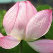 ヒメ日記 2025/06/30 11:43 投稿 ちえ 完熟ばなな西川口