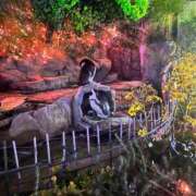 ヒメ日記 2026/01/04 11:48 投稿 ひかり 人妻・若妻デリヘル レディプレイス