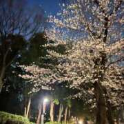 ヒメ日記 2026/04/05 14:02 投稿 ひかり 人妻・若妻デリヘル レディプレイス