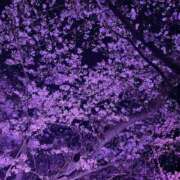 ヒメ日記 2025/04/15 18:25 投稿 あやめ〔VIP〕対応 aQua～アクア～（金津園）