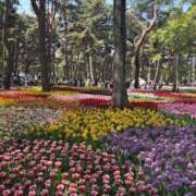 ヒメ日記 2025/05/26 13:25 投稿 あやめ〔VIP〕対応 aQua～アクア～（金津園）