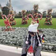 ヒメ日記 2025/12/01 02:36 投稿 りいな★北国が育てた素人娘★ Chloe鶯谷・上野店 S級素人清楚系デリヘル