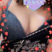 ヒメ日記 2025/04/06 09:29 投稿 るみ 鹿児島ちゃんこ霧島店