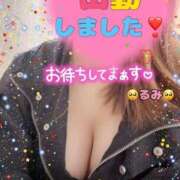 ヒメ日記 2025/06/05 10:19 投稿 るみ 鹿児島ちゃんこ霧島店