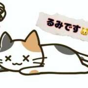 るみ 🌻お知らせです🌻 鹿児島ちゃんこ霧島店