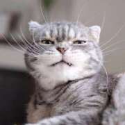 ヒメ日記 2025/05/30 18:15 投稿 あの【GOLD】 Sabbat(サバト)