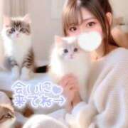 ヒメ日記 2025/09/27 14:05 投稿 あの【GOLD】 Sabbat(サバト)