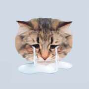 ヒメ日記 2025/09/14 10:06 投稿 えな Sabbat(サバト)