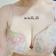 みみ (´ ｡•ω•｡)っ⌒♡｡． 群馬伊勢崎ちゃんこ