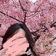 ヒメ日記 2025/03/19 12:54 投稿 広瀬 みさと アソビザ女子社員 イメクラ部