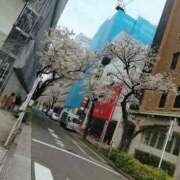 ヒメ日記 2025/04/05 13:36 投稿 雨宮えま 月の真珠-五反田-