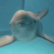 ヒメ日記 2025/07/14 06:01 投稿 雨宮えま 月の真珠-五反田-