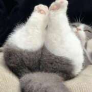 ヒメ日記 2025/12/30 14:05 投稿 雨宮えま 月の真珠-五反田-