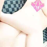 ヒメ日記 2025/07/29 00:30 投稿 ちい 奥様なでしこ