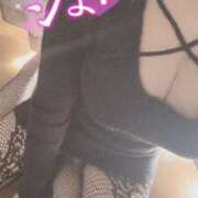 ヒメ日記 2026/02/09 12:31 投稿 ちい 奥様なでしこ