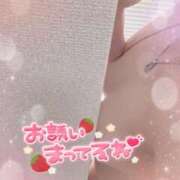 ヒメ日記 2026/02/11 14:01 投稿 ちい 奥様なでしこ