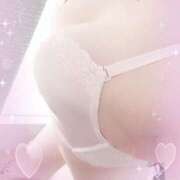 ヒメ日記 2026/02/12 01:20 投稿 ちい 奥様なでしこ